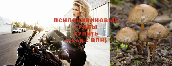 ECSTASY Мегион