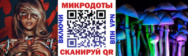 Купить  Трубчевск  Галлюциногенные грибы Cubensis 