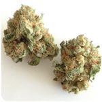 Шишки "White Widow"  (Белая вдова)  Гидропоника -  Бошка VHQ в Трубчевске
